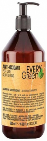 Антиоксидант Шампунь - Dikson Every Green Anti-Oxidant Shampoo Antiossidante